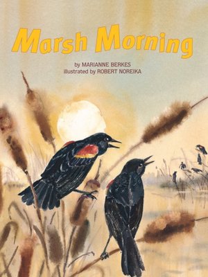 cover image of Marsh Morning